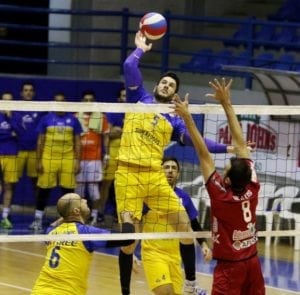 apoelnea