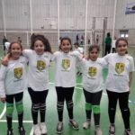 AEK Larnakas one of 16 mini volley teams